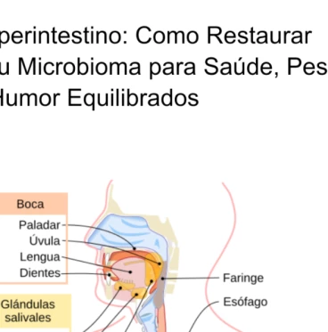 Imagem Superintestino: Como Restaurar Seu Microbioma para Saúde, Peso e Humor Equilibrados